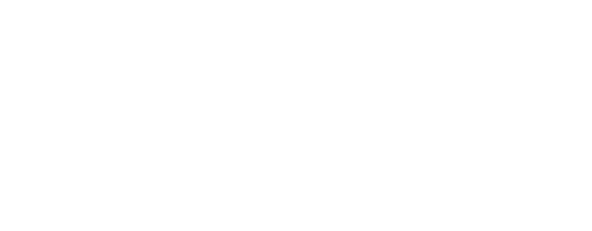 Logo White